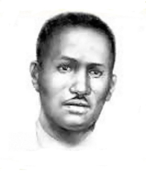 التجاني يوسف بشير